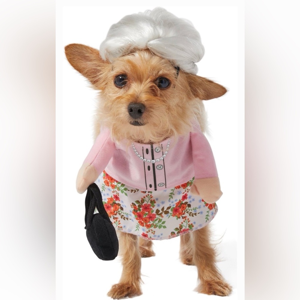 Grandma Pet costume NWOT - Picture 2 of 7